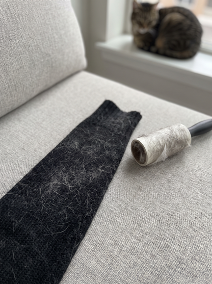 Arco de autocepillado: adiós pelos en casa